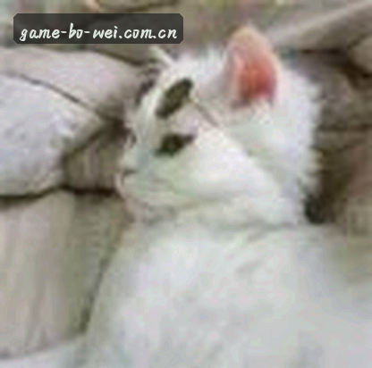 王磊