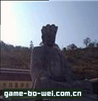 刘婷